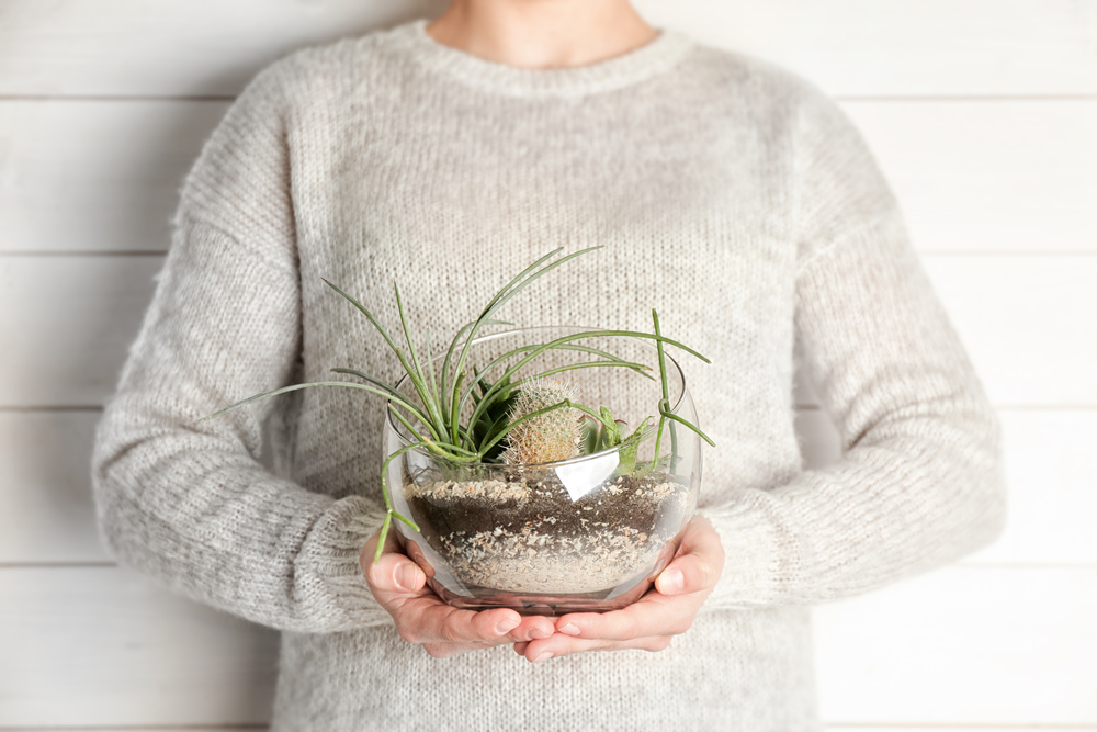 4 terrific terrarium tips for your small space Image