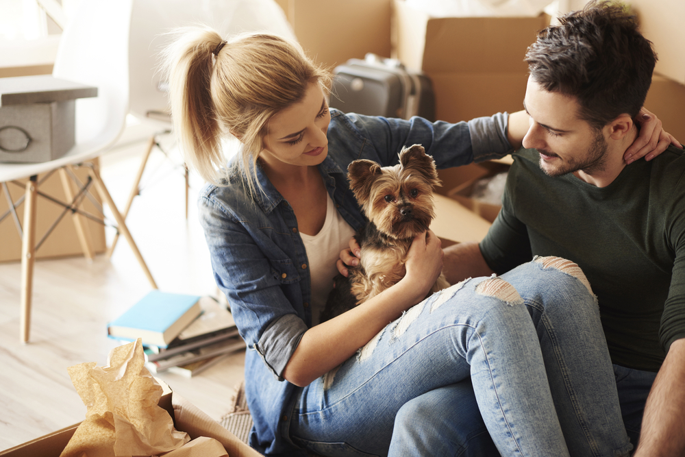 5 new condos dog owners will love Image