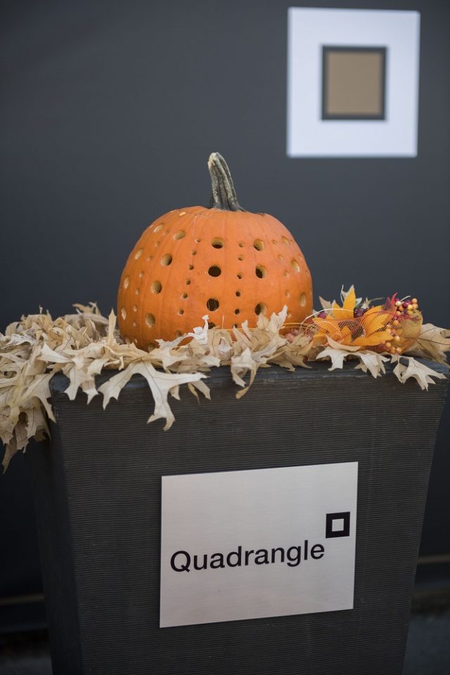 Designer pumpkin by Quadrangle