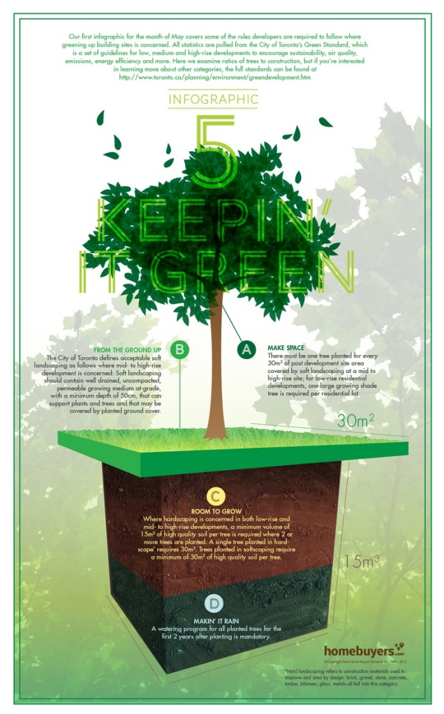 green infographic