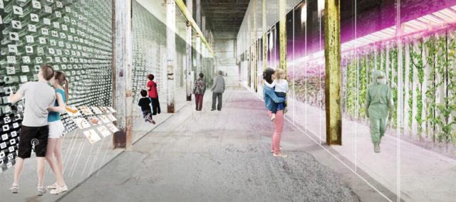 Global Seed Vault - NXT City Prize winner