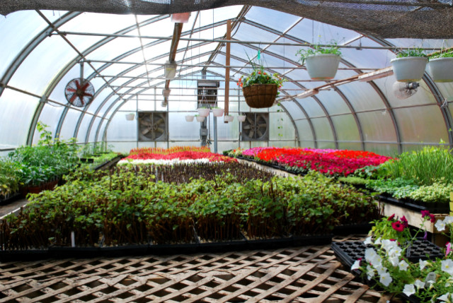 Greenhouse at Fox Harb'r