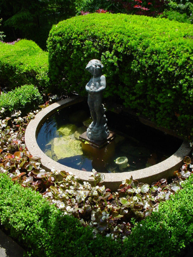 A small water feature may be good for gardeners with limited space