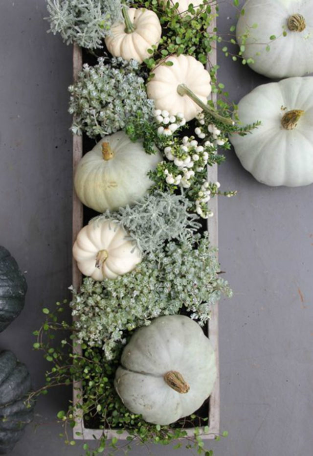 White pumpkins as centerpiece