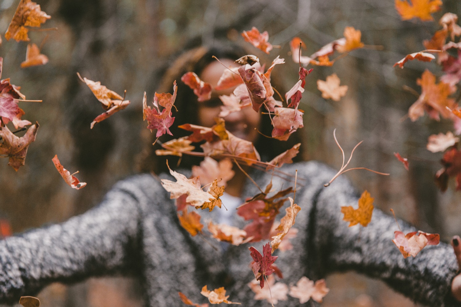 4 alternative uses for fall leaves Image