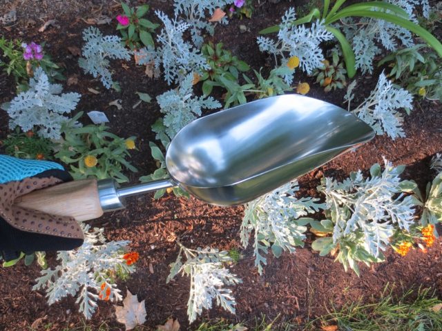 A scoop is a must-have garden tool for next season