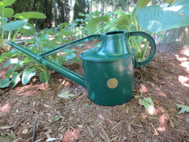 A watering can is a must-have garden tool for next season